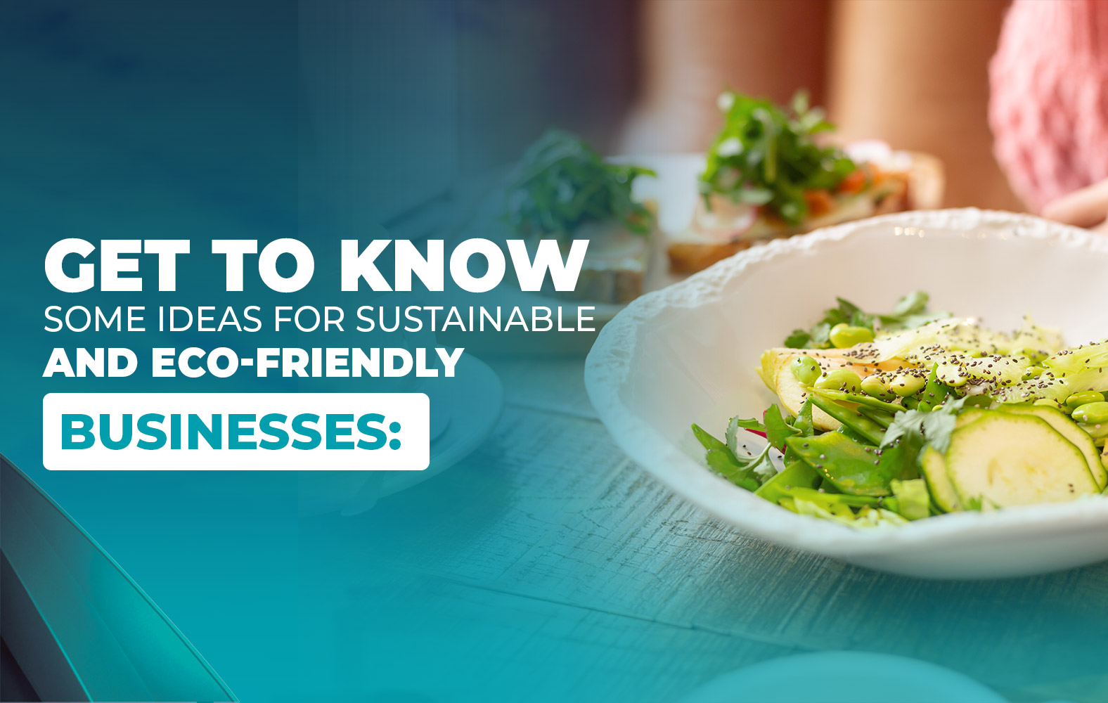 GET TO KNOW SOME IDEAS FOR SUSTAINABLE AND ECO-FRIENDLY BUSINESSES: